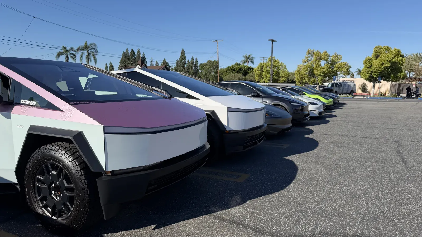 Tesla Club SoCal meetup with Model Y and Model 3 lineup