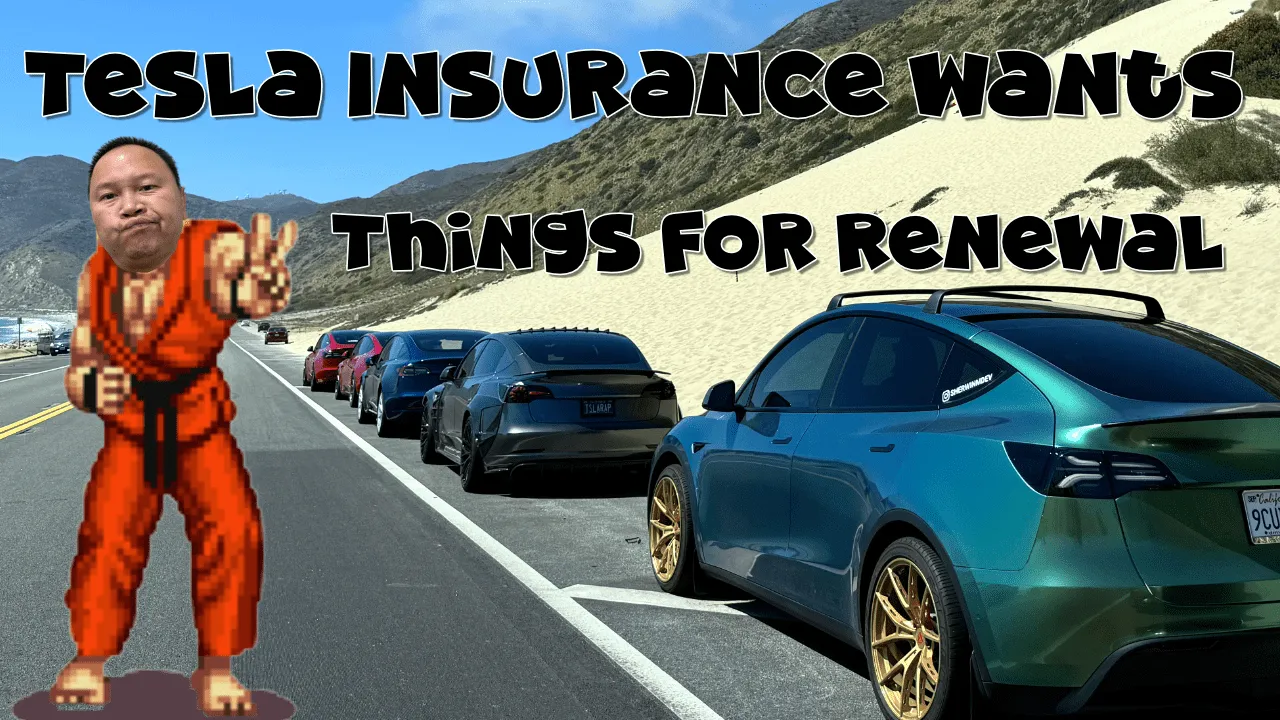 tesla model y parked on the side of the road with ken masters from street fighter 2 posing