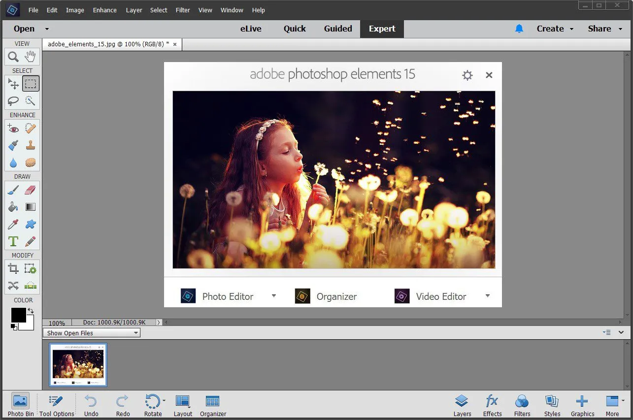 adobe_elements_15_interface