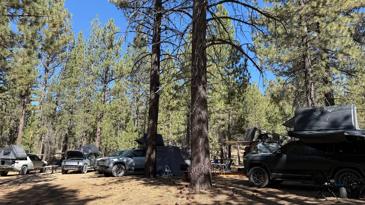 Wide shot of Rivian camp at Holcomb Valley, multiple R1S and R1T vehicles with rooftop tents and awnings in a sun-dappled pine forest