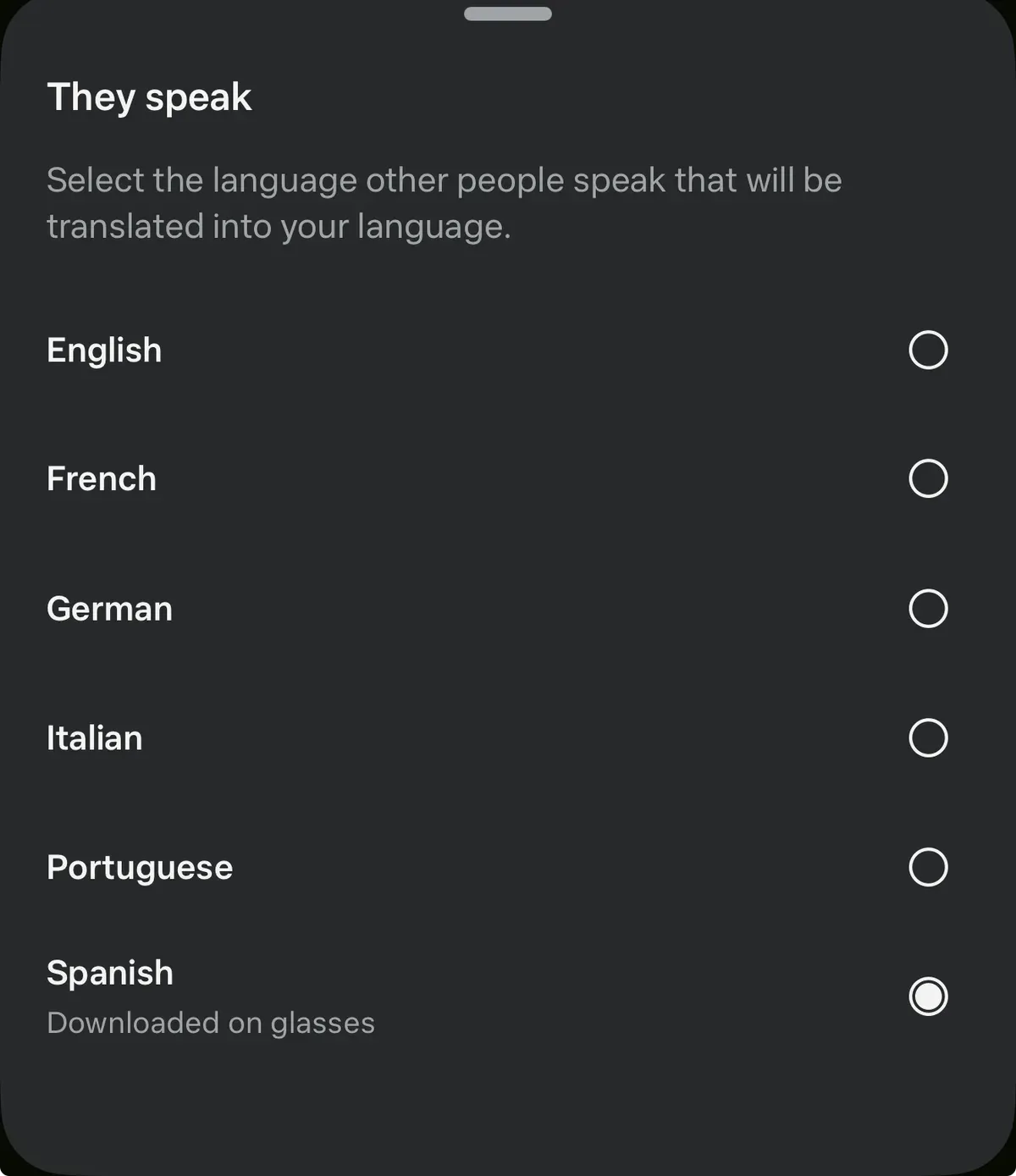 Meta Glasses language selection screen showing supported languages — Japanese not listed