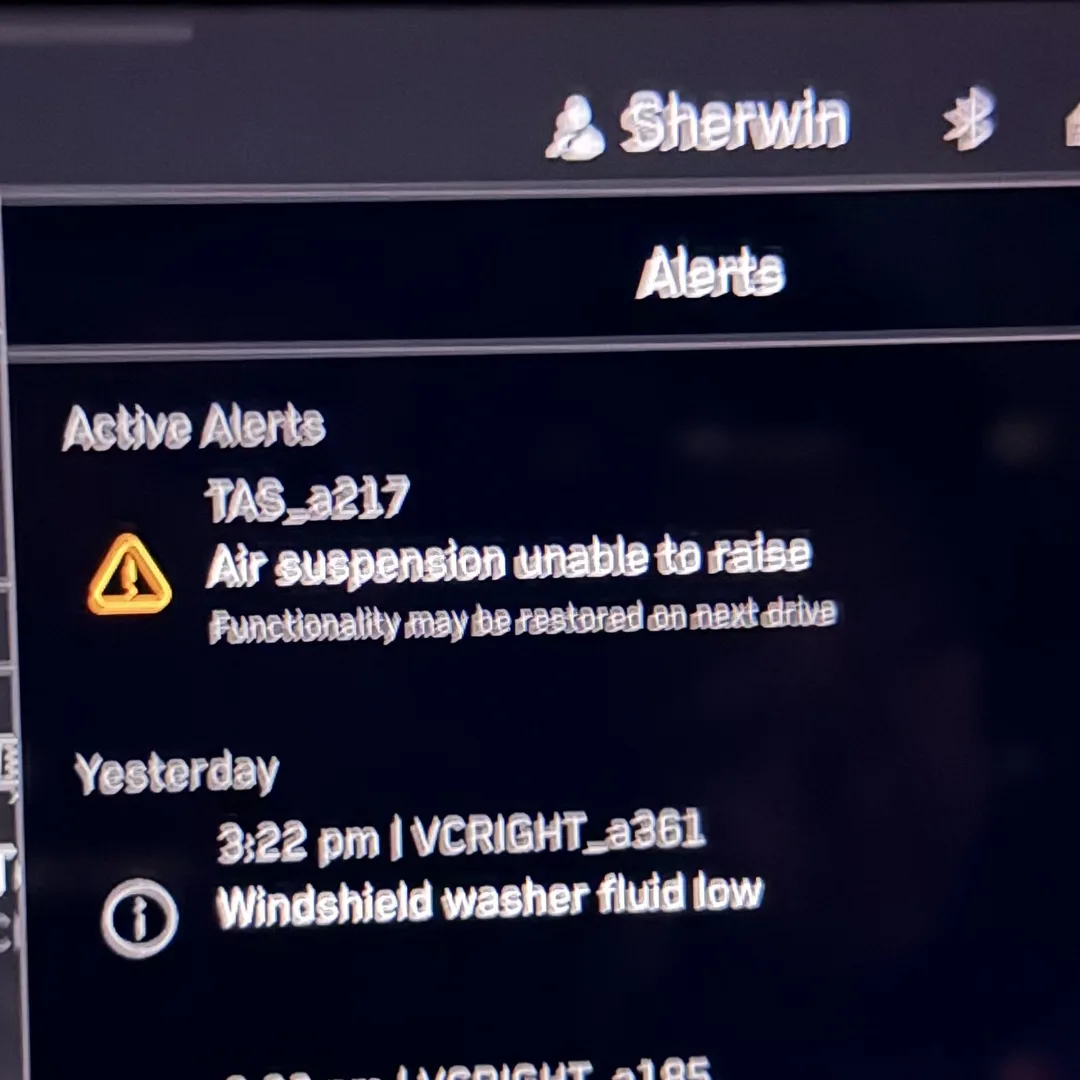 Tesla alerts menu listing active alert TAS_a217, Air suspension unable to raise.