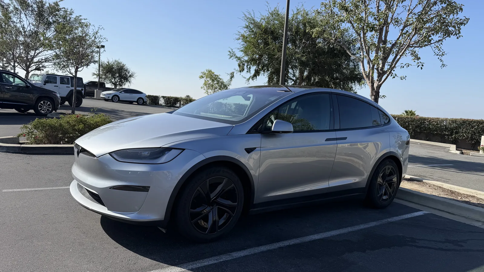 Silver Tesla Model X loaner parked, side profile view.